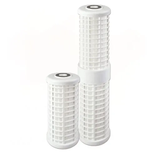 Atlas Filtri RL 10" Big SX 100 mcr (RA5015515)