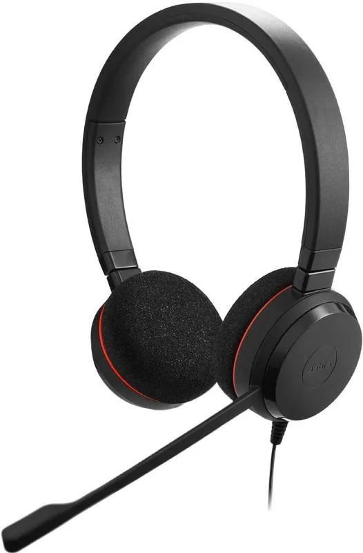 Наушники Jabra Evolve 20 UC Stereo USB-C кожа (4999-829-289L)