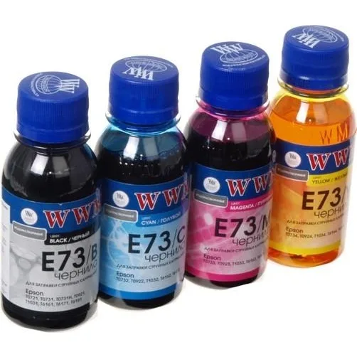 Комплект чернил WWM для Epson TX119/TX209/TX419 Водорастворимые 4х100г B/C/M/Y (E73SET-2)