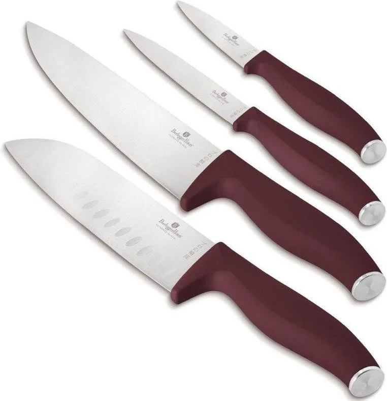 Набір ножів 4 предмета Berlinger Haus Matte Leonardo Collection (BH-2958) (M-BH-2958)