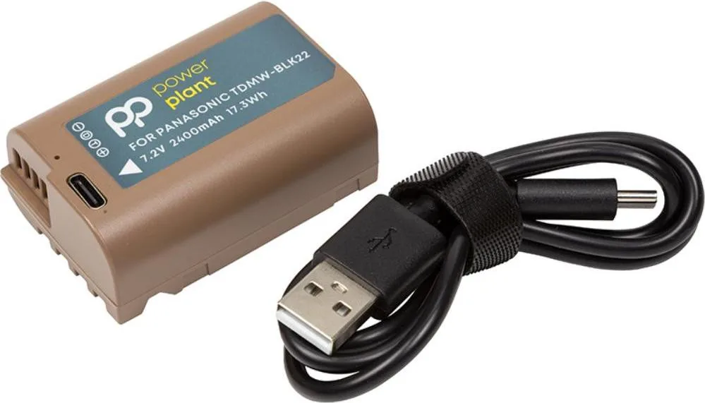 Акумулятор PowerPlant Panasonic TDMW-BLK22 2400mAh з кабелем Type-C (CB971299)