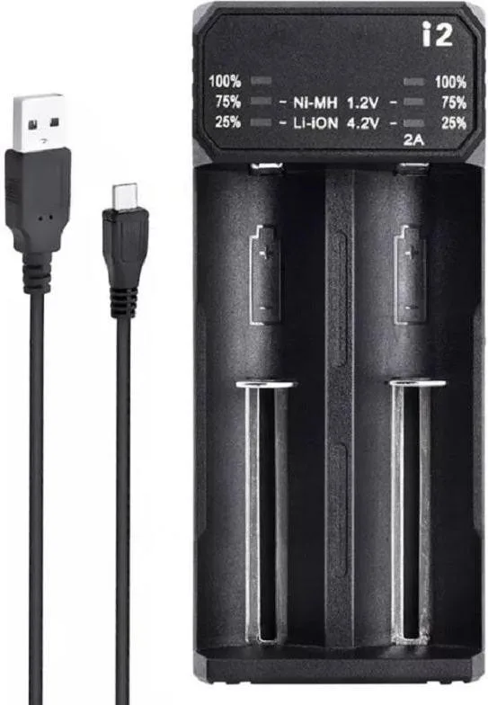 Зарядний пристрій Battery charger for 2 LED Black (ECDQ-I201)